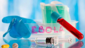 1.000 Kasus Ebola Terdeteksi di Kongo, Korban Tewas Capai 254 Orang