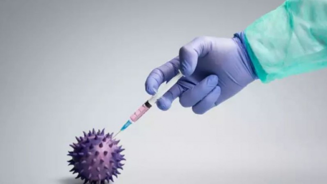 Virus corona atau covid-19