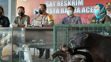 Polisi menunjukkan barang bukti hewan langka dari rumah bandar sabu di Banda Aceh.