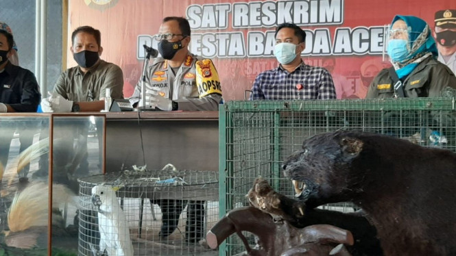 Polisi menunjukkan barang bukti hewan langka dari rumah bandar sabu di Banda Aceh.