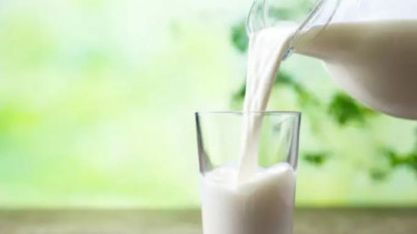 Susu 