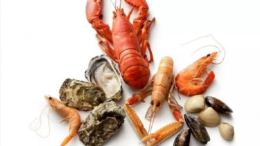 Lobster, shrimp dan prawns
