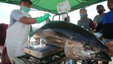 Ikan Tuna siap ekspor ke Eropa dan Amerika Serikat.