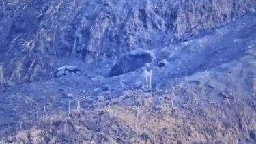 Sebuah gundukan di Gunung Merapi beredar di dunia maya.