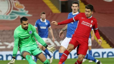 Duel Liverpool vs Brighton & Hove Albion.
