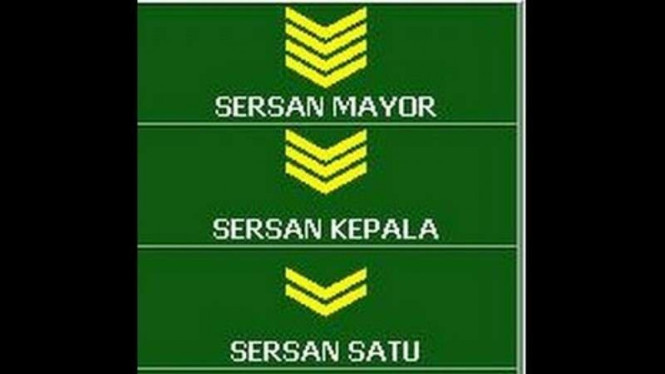 VIVA Militer: Lambang pangkat Sersan TNI