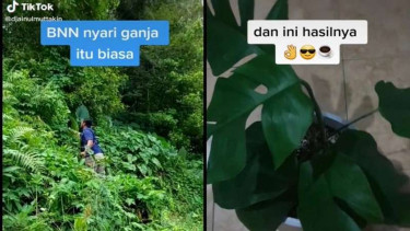 Petugas BNN buru monstera