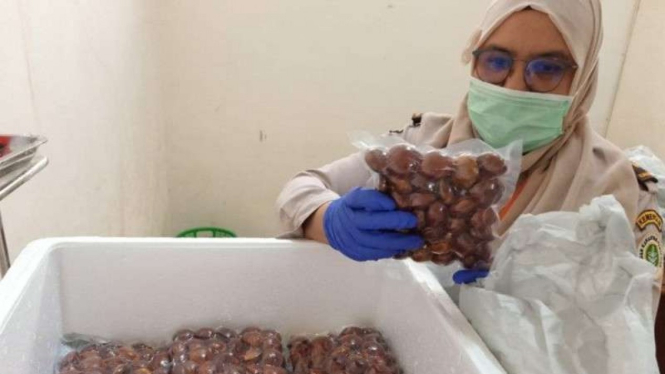 Jengkol produksi petani Sumbar.