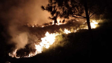 Kebakaran hutan gambut di lereng perbukitan Pusuk Buhit, kawasan pariwisata Danau Toba, tepatnya ?Desa Siogung Ogung, Kecamatan Pangururan, Kabupaten Samosir, Sumatera Utara, Jumat, 19 Februari 2021.