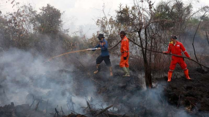Kebakaran lahan sawit di Sumbar.
