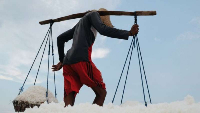Petani garam atau petambak garam di Madura