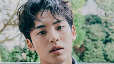 Mingyu (SEVENTEEN)