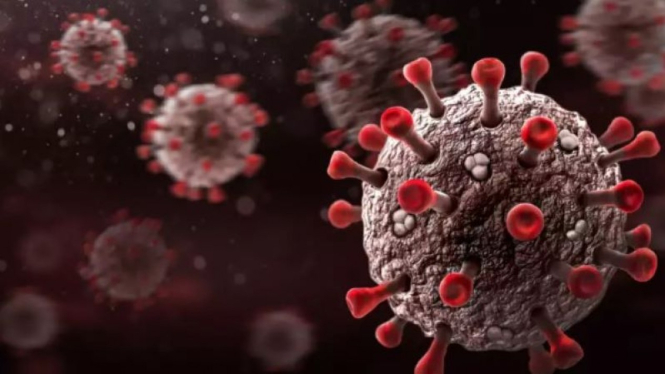 Virus COVID-19