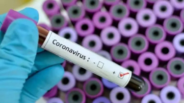 Virus Corona.