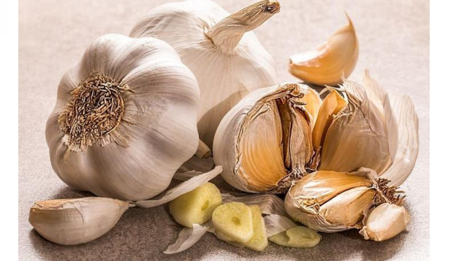 Viral Bawang Putih Untuk Obat