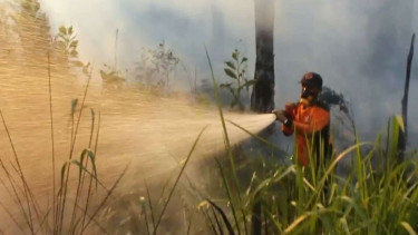 Petugas memadamkan kebakaran lahan di Riau.