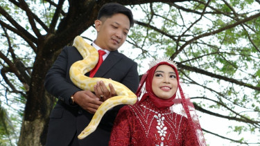 Sadam dan Desti