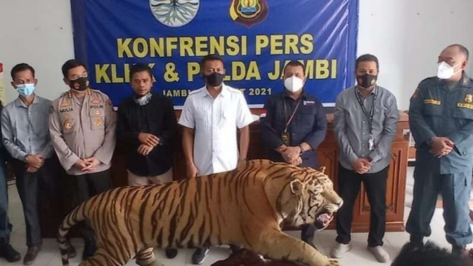 Penggagalan penjualan ilegal offset harimau dan gading gajah