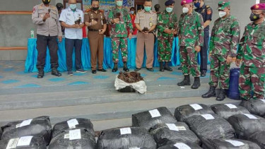 Barang bukti 1 ton vanili yang diselundupkan oleh 4 WNA Papua Nugini