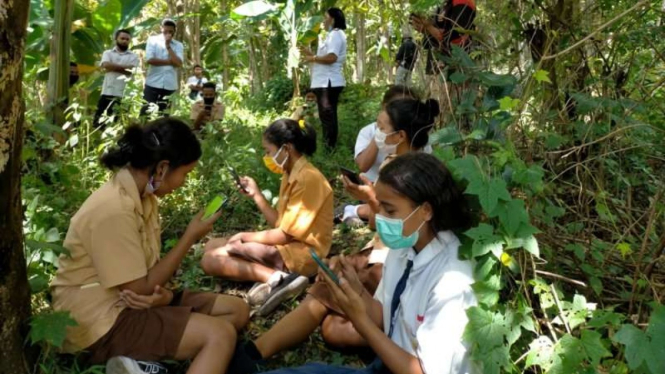 Siswi SMP di Manggarai Timur NTT belajar di atas bukit demi sinyal internet