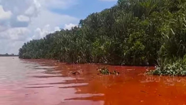 Air sungai sejangkung berubah warna menjadi oranye