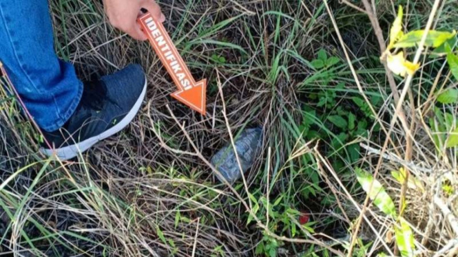Proses identifikasi video mesum oleh WNA yang vira, di area Gunung Batur, Bali