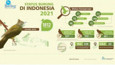 Burung di Indonesia 