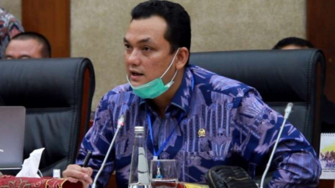 Wakil Ketua Komisi VI DPR, Martin Manurung.