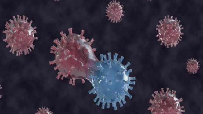 Virus Corona COVID-19.
