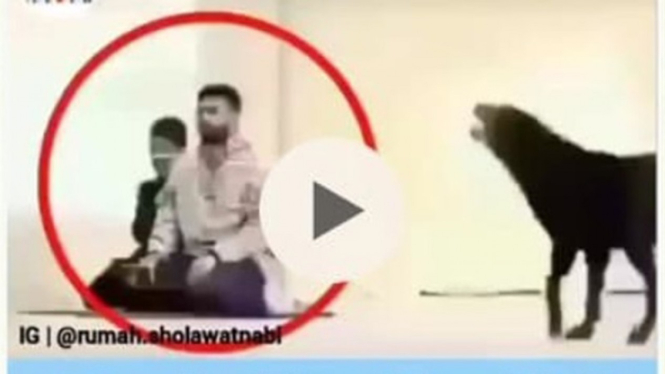 Beredar postingan anjing zionis menerkam orang Salat.