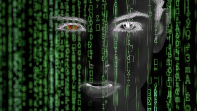 Hacker / serangan siber.