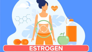 Hormon Estrogen