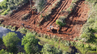 Pantau Gambut Minta Pemegang Konsesi Patuhi Kewajiban Restorasi