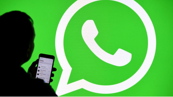 Ilustrasi cek status WhatsApp seseorang.