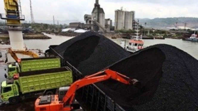 Kegiatan kelompok usaha PT Bumi Resources Tbk.