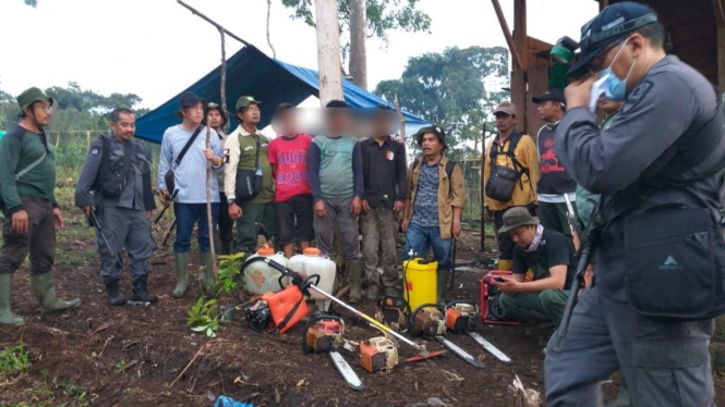 Aparat gabungan tangkap empat tersangka pengrusakan hutan kawasan TNKS