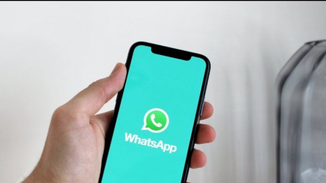 whatsapp.