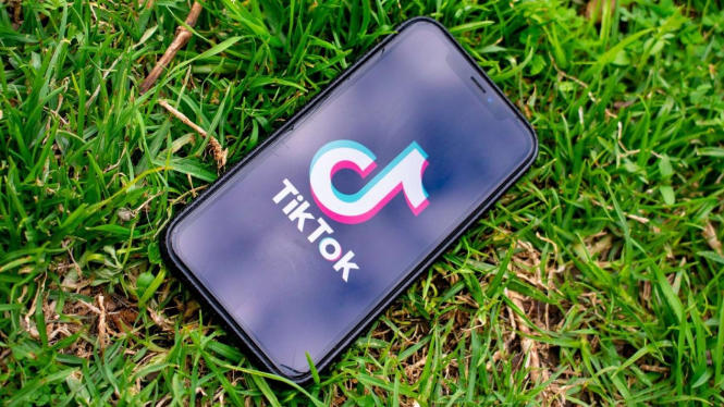 TikTok Ilustration