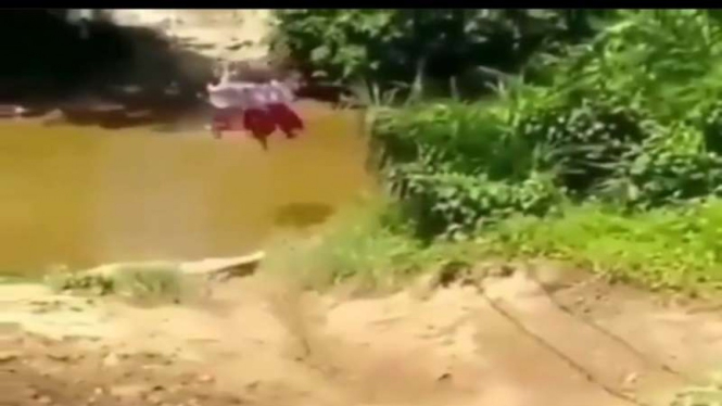 Tangkapan layar pelajar menyebrangi sungai untuk bersekolah