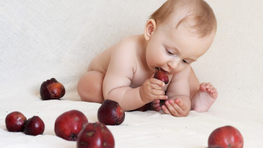 Ilustrasi Bayi mengenal tekstur makanan