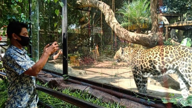 Satwa yang ada di Secret Zoo Jatim Park 2