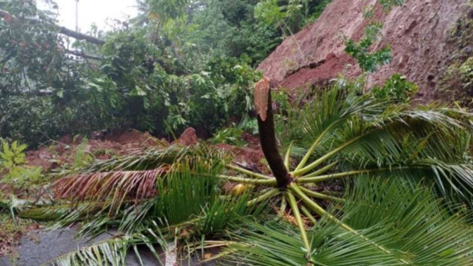 Material longsor menutupi di sejumlah ruas jalan yang ada di Kabupaten Sangihe, Jumat, 17 September 2021.