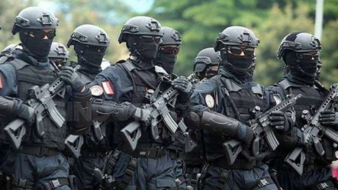 VIVA Militer: Pasukan Detasemen Jalamangkara (Denjaka) TNI Angkatan Laut