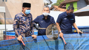Direktur Utama BRI Sunarso mengunjungi Ekosistem Bisnis Klaster Ikan Jatihurup