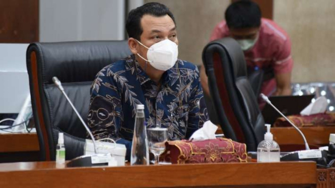 Wakil Ketua Komisi VI DPR, Martin Manurung.