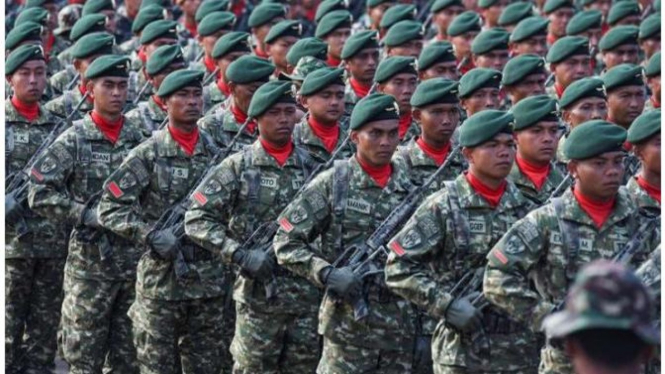 Ilustrasi TNI Tidak ada Hijau dan Merah Putih