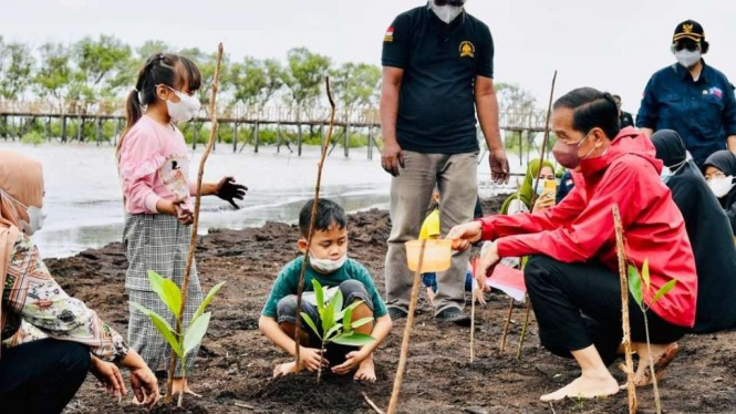 Presiden Jokowi Menanam Mangrove di Bengkalis, Provinsi Riau