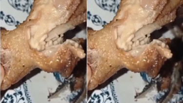 Viral Ada Belatung di Santapan Ini (Instagram/fakta.indo)