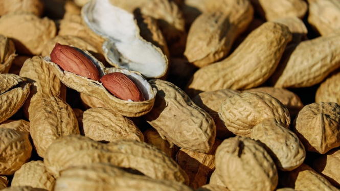 Kacang Tanah.