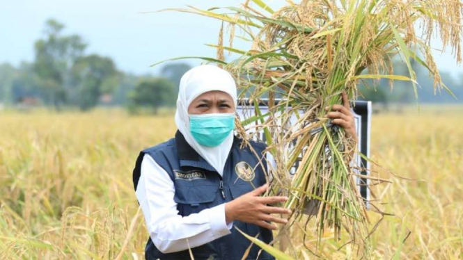 Gubernur Jawa Timur Khofifah Indar Parawansa